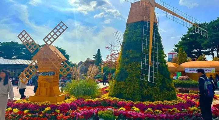 유성국화축제 풍차 / 사진=대전 공식블로그 오지영