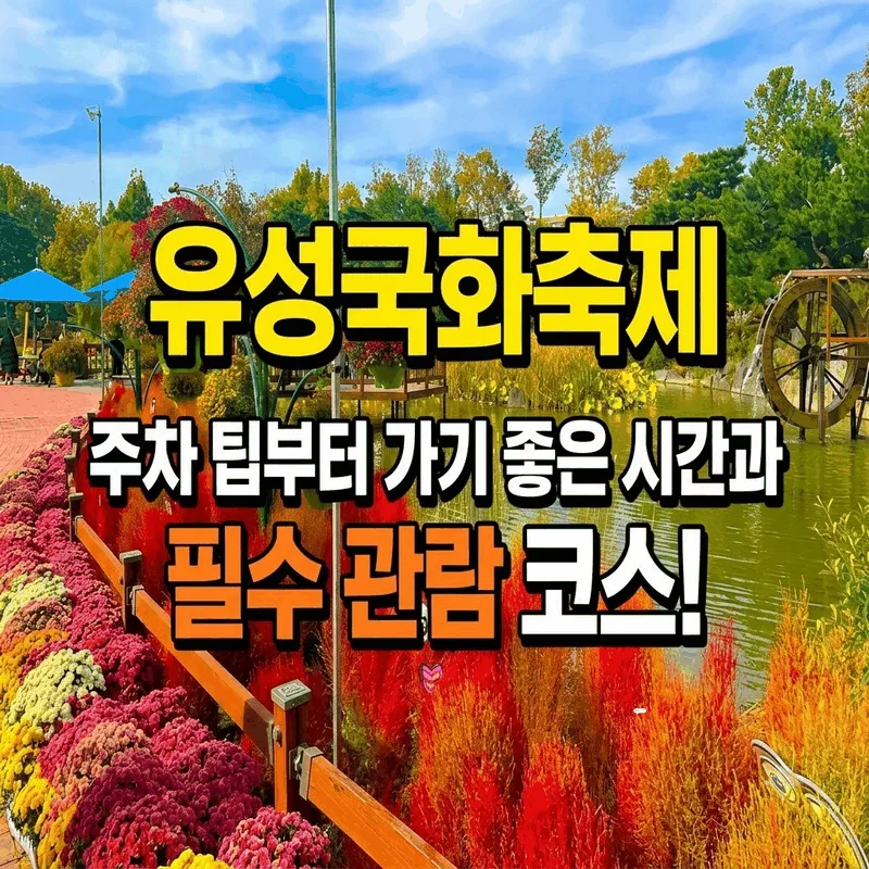 유성국화축제 주차 팁부터 가기 좋은 시간과 필수 관람 코스