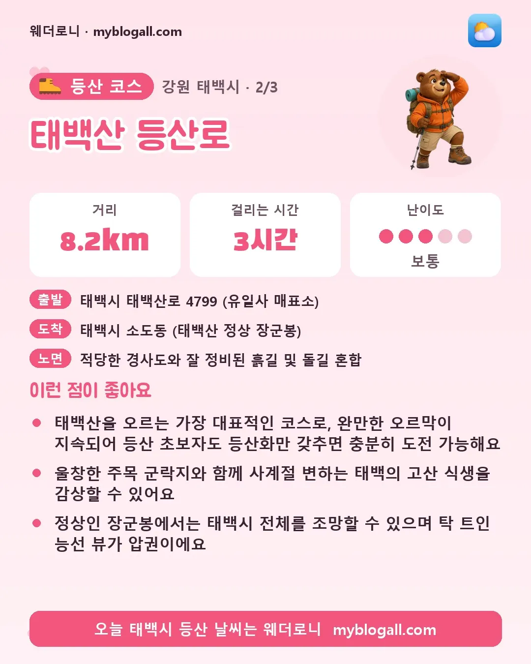태백시 등산 코스 · 태백산 등산로 — 8.2km · 3시간 · 난이도 3/5 — 태백산을 오르는 가장 대표적인 코스로, 완만한 오르막이 지속되어 등산 초보자도 등산화만 갖추면 충분히 도전 가능해요 — 울창한 주목 군락지와 함께 사계절 변하는 태백의 고산 식생을 감상할 수 있어요