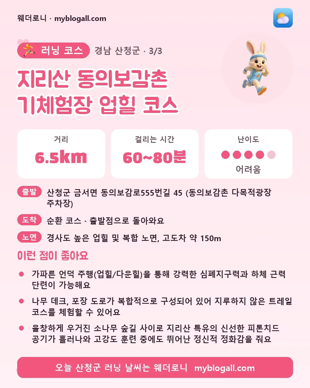 산청군 러닝 코스 · 지리산 동의보감촌 기체험장 업힐 코스 — 6.5km · 60~80분 · 난이도 4/5 — 가파른 언덕 주행(업힐/다운힐)을 통해 강력한 심폐지구력과 하체 근력 단련이 가능해요 — 나무 데크, 포장 도로가 복합적으로 구성되어 있어 지루하지 않은 트레일 코스를 체험할 수 있어요