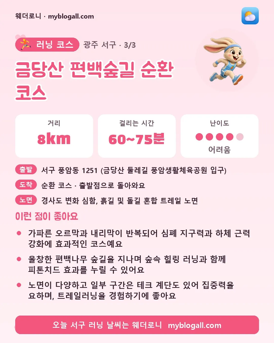 서구 러닝 코스 · 금당산 편백숲길 순환 코스 — 8km · 60~75분 · 난이도 4/5 — 가파른 오르막과 내리막이 반복되어 심폐 지구력과 하체 근력 강화에 효과적인 코스예요 — 울창한 편백나무 숲길을 지나며 숲속 힐링 러닝과 함께 피톤치드 효과를 누릴 수 있어요