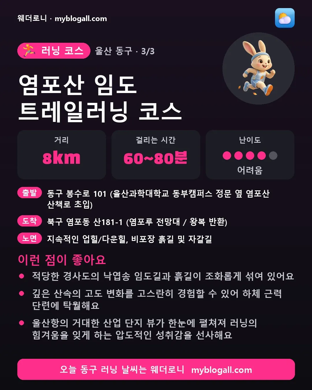 동구 러닝 코스 · 염포산 임도 트레일러닝 코스 — 8km · 60~80분 · 난이도 4/5 — 적당한 경사도의 낙엽송 임도길과 흙길이 조화롭게 섞여 있어요 — 깊은 산속의 고도 변화를 고스란히 경험할 수 있어 하체 근력 단련에 탁월해요
