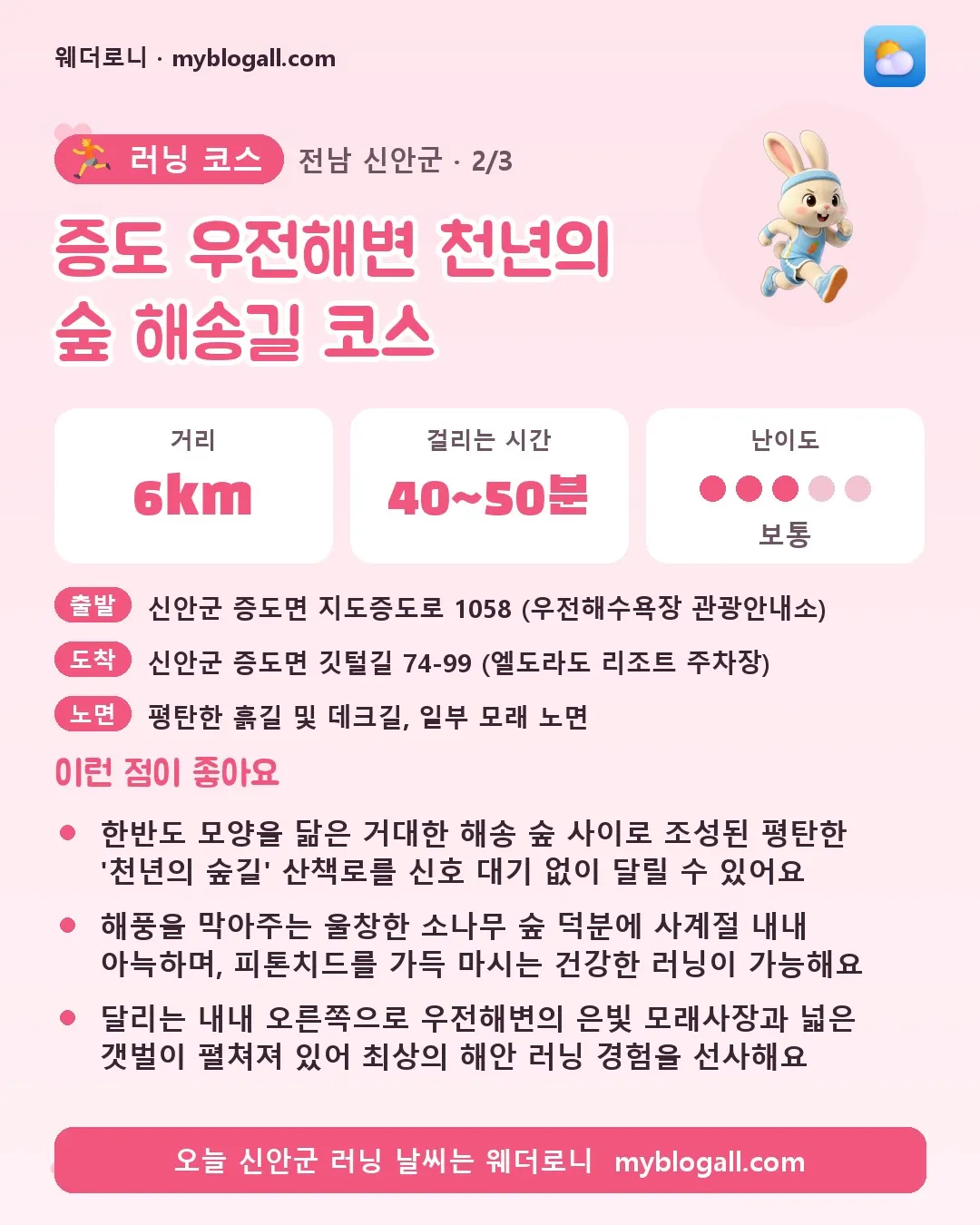 신안군 러닝 코스 · 증도 우전해변 천년의 숲 해송길 코스 — 6km · 40~50분 · 난이도 3/5 — 한반도 모양을 닮은 거대한 해송 숲 사이로 조성된 평탄한 '천년의 숲길' 산책로를 신호 대기 없이 달릴 수 있어요 — 해풍을 막아주는 울창한 소나무 숲 덕분에 사계절 내내 아늑하며, 피톤치드를 가득 마시는 건강한 러닝이 가능해요