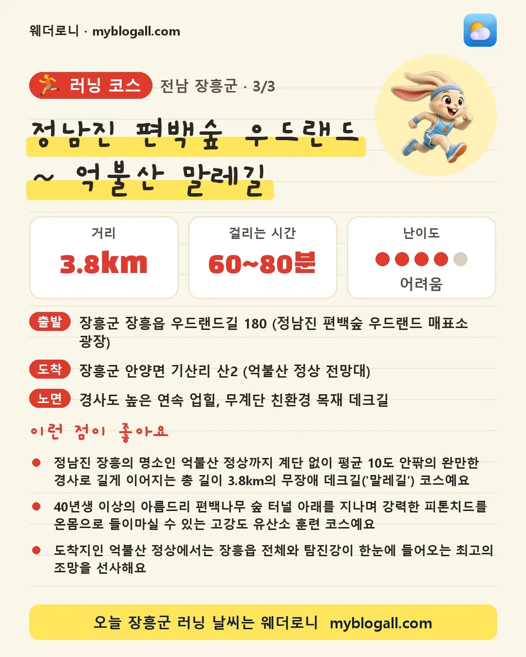 장흥군 러닝 코스 · 정남진 편백숲 우드랜드 ~ 억불산 말레길 — 3.8km · 60~80분 · 난이도 4/5 — 정남진 장흥의 명소인 억불산 정상까지 계단 없이 평균 10도 안팎의 완만한 경사로 길게 이어지는 총 길이 3.8km의 무장애 데크길('말레길') 코스예요 — 40년생 이상의 아름드리 편백나무 숲 터널 아래를 지나며 강력한 피톤치드를 온몸으로 들이마실 수 있는 고강도 유산소 훈련 