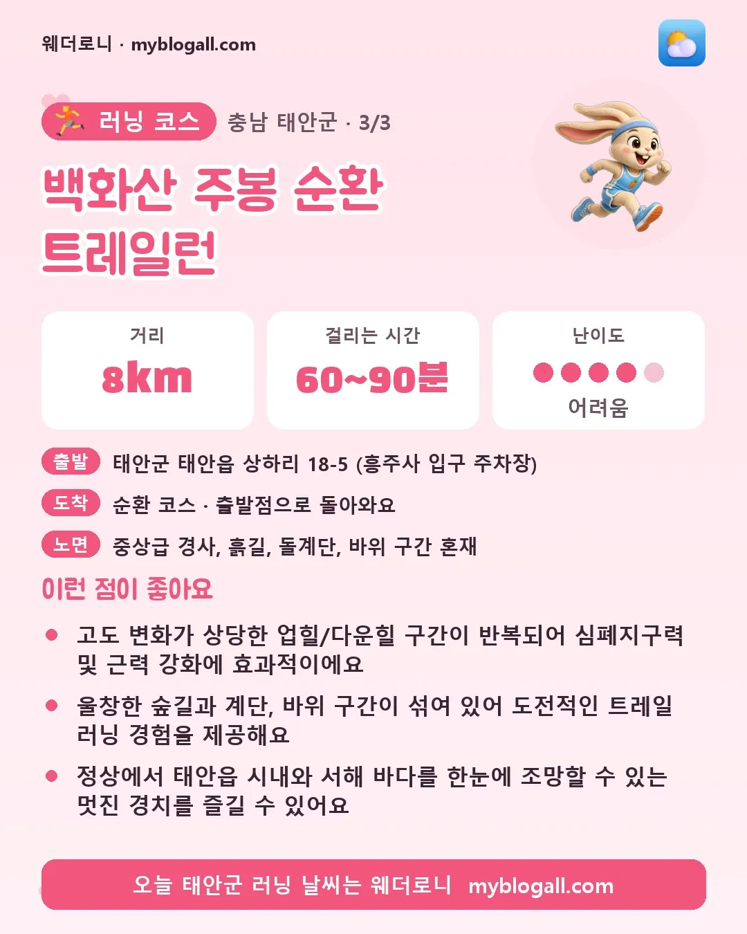 태안군 러닝 코스 · 백화산 주봉 순환 트레일런 — 8km · 60~90분 · 난이도 4/5 — 고도 변화가 상당한 업힐/다운힐 구간이 반복되어 심폐지구력 및 근력 강화에 효과적이에요 — 울창한 숲길과 계단, 바위 구간이 섞여 있어 도전적인 트레일 러닝 경험을 제공해요